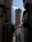 Lucques – Torre Guinigi